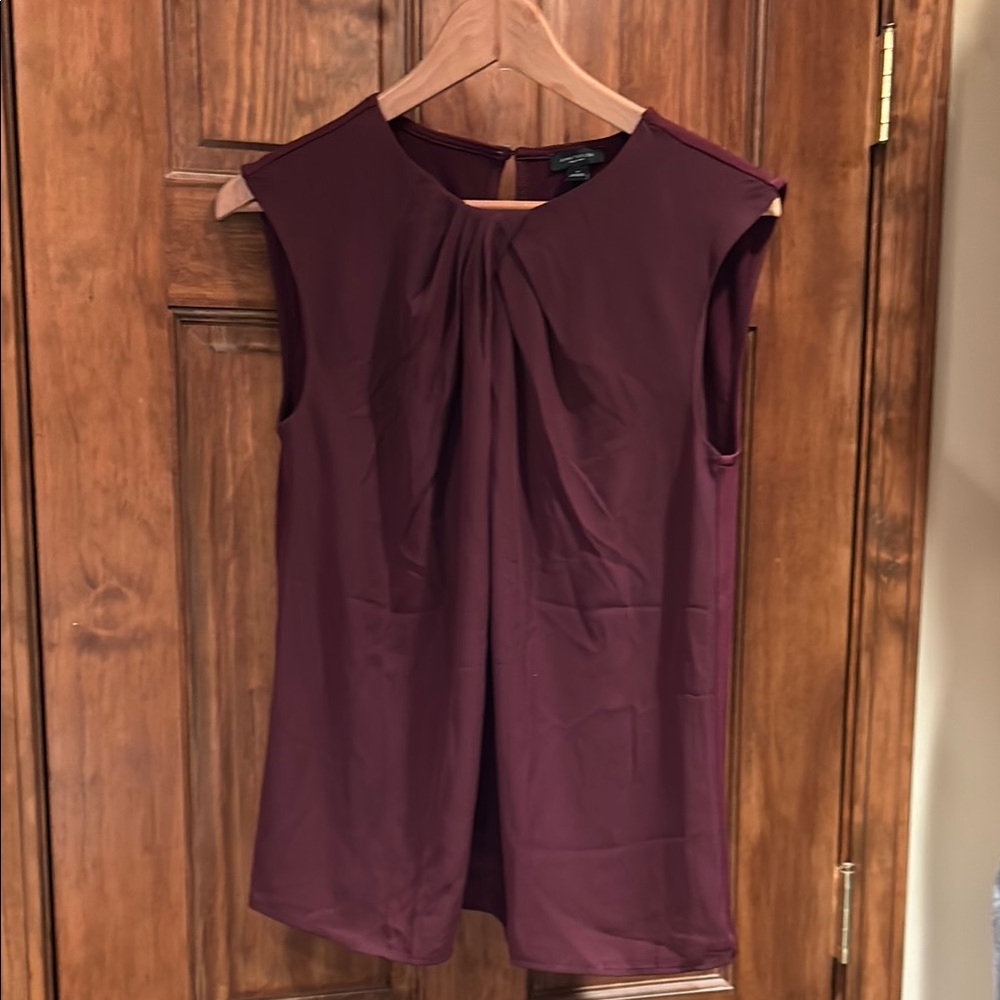 Ann Taylor Factory Purple Sleeveless Pleated Blouse